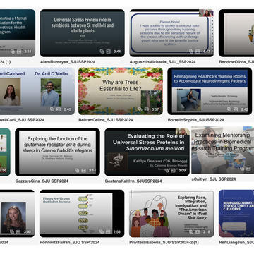 2024 Scholar Video Collage