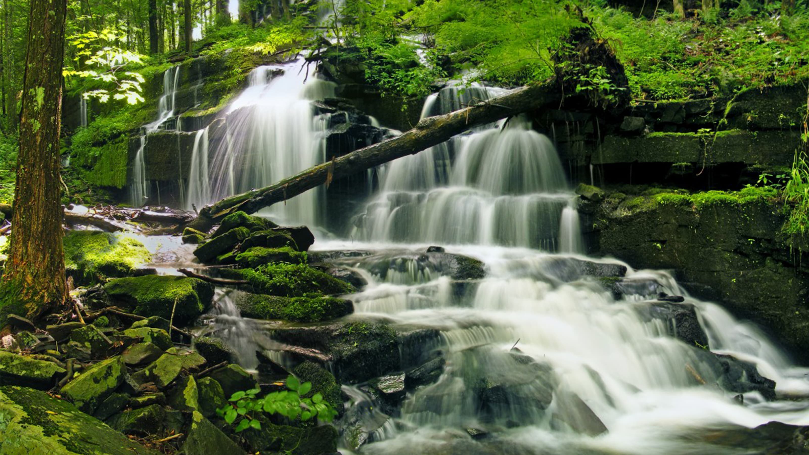 Waterfalls at the Pocono Mountains