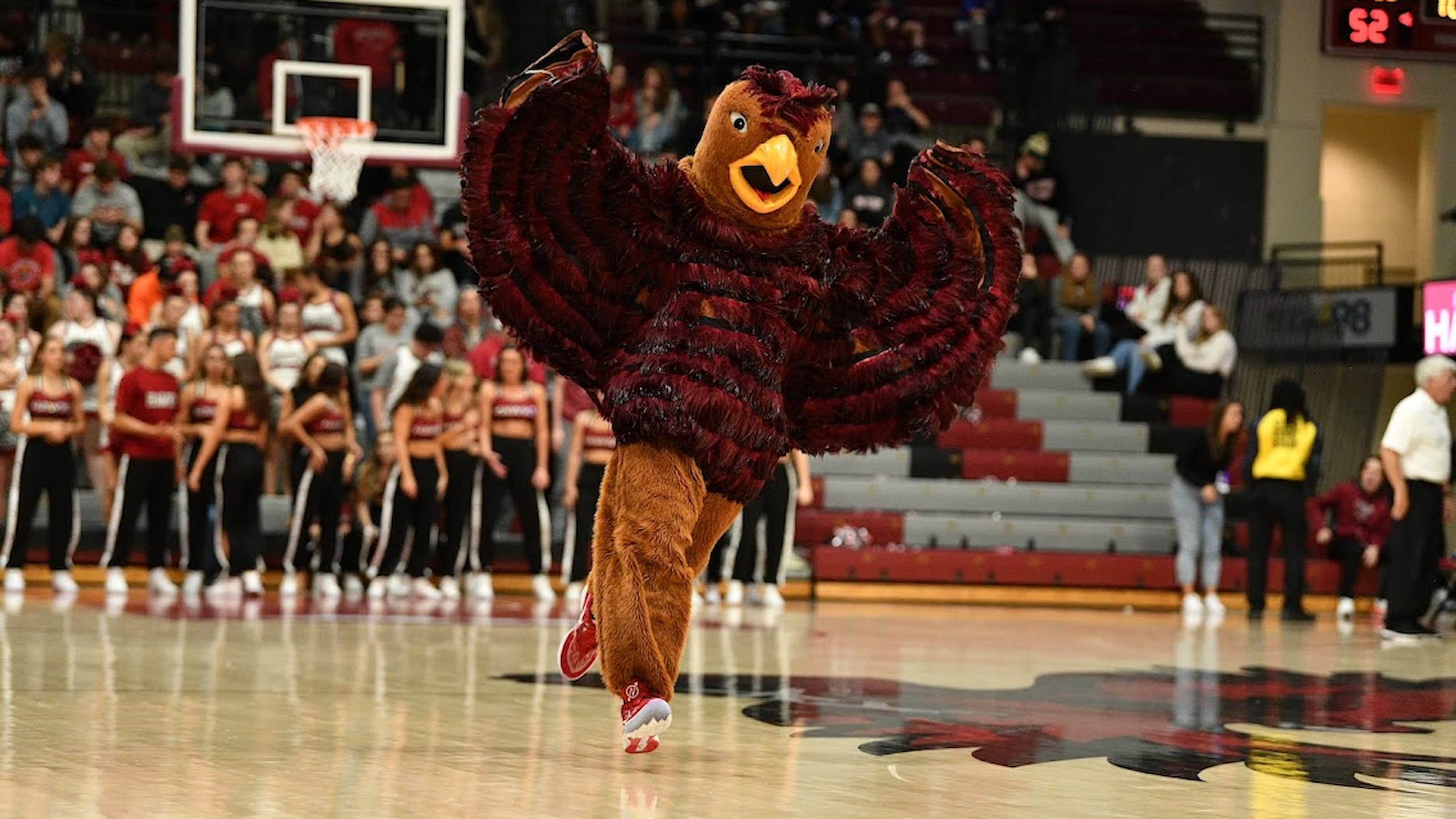 Hawk mascot flapping its wings at a basketball game