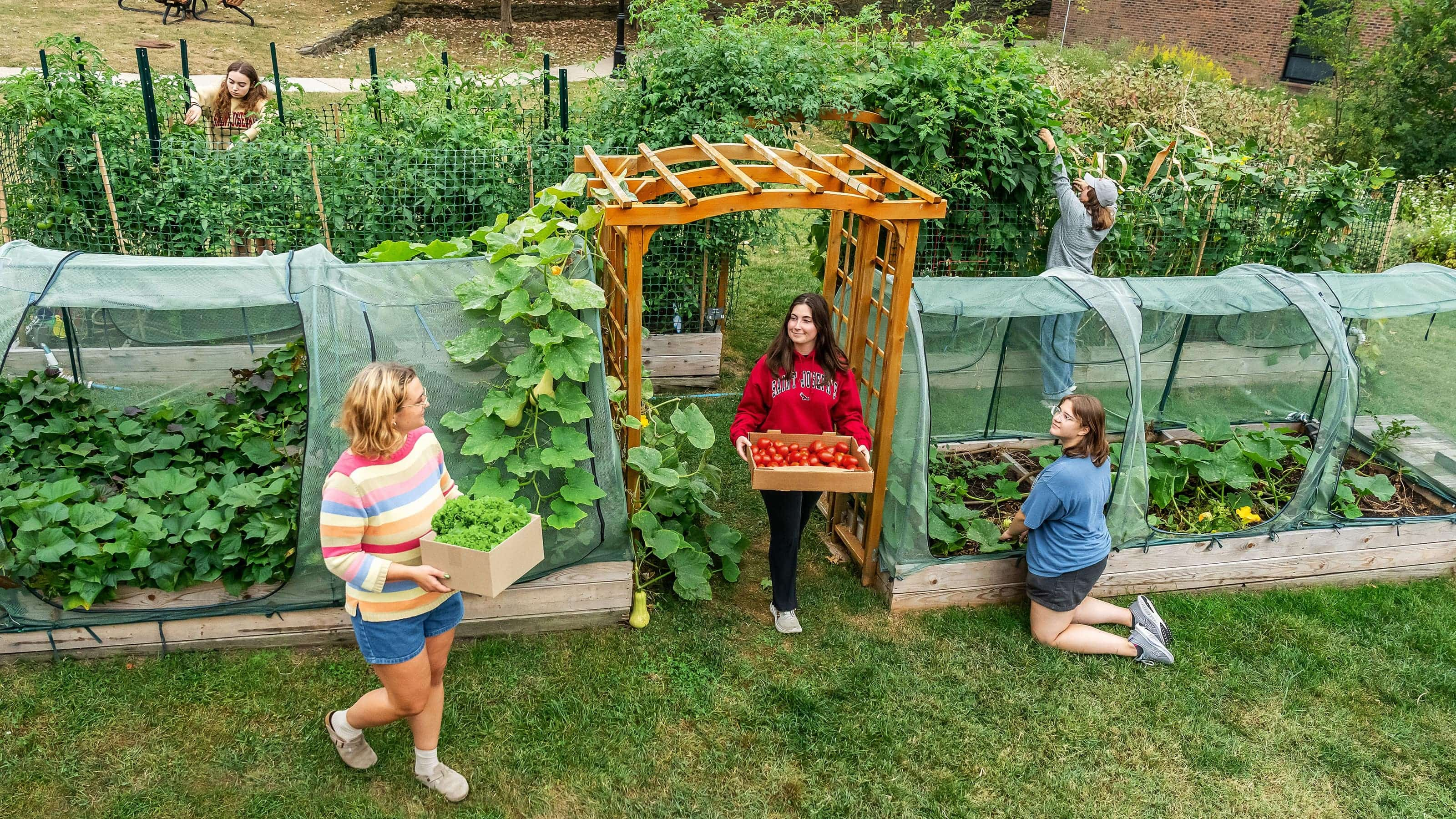 5 female Saint Joseph's students working in community garden