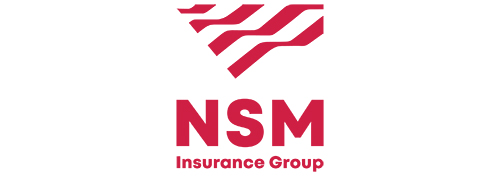 NSM logo