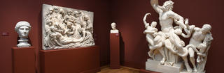 cast gallery