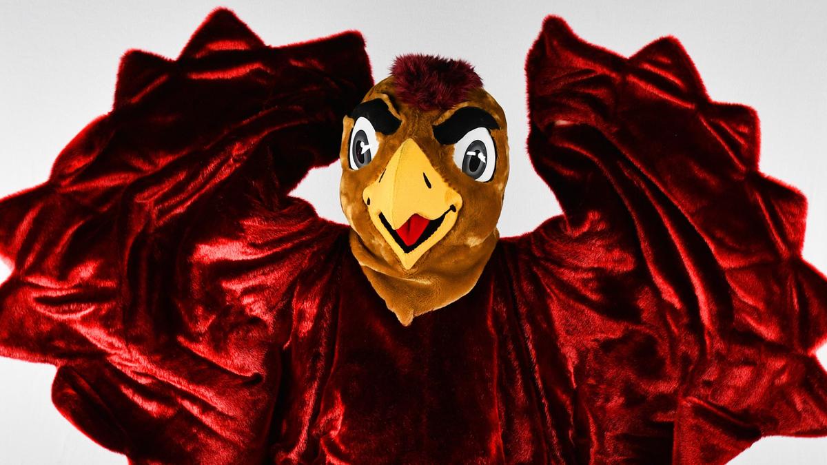 College Athletics' Hardest-Working Mascot — Saint Joseph's Hawk — Is ...