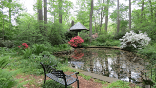 Scenic area at Barnes Aboretum