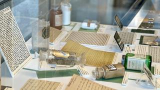 Herb of Heritage: side view of the display, installation view
