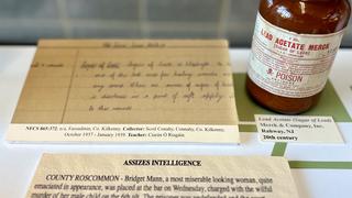 Herbs of Heritage: lead acetate Merck and NFCS entry