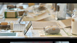 Herbs of Heritage: side of the display, installation view