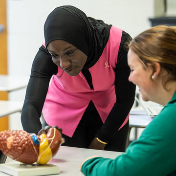 A professor and two students looking at a model of a stomach