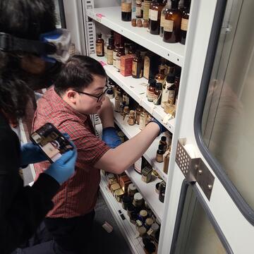 Students in collection storage